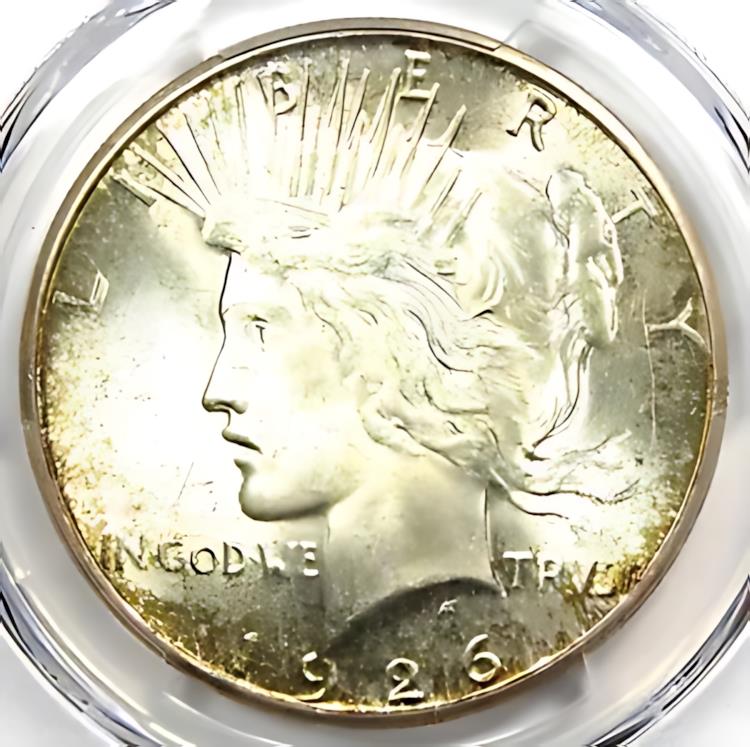 硬貨 紙幣 貴金属 古銭 ゴールド シルバー Gold silver Coin アンティーク Antique 鑑定 グレーディング 外国 格付け鑑定 グレード 鑑定機関 海外 価値 希少