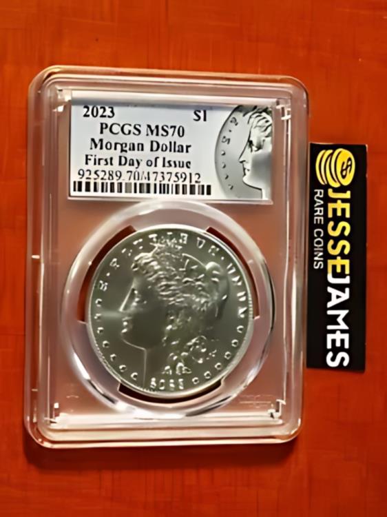 硬貨 紙幣 貴金属 古銭 ゴールド シルバー Gold silver Coin アンティーク Antique 鑑定 グレーディング 外国 格付け鑑定 グレード 鑑定機関 海外 価値 希少