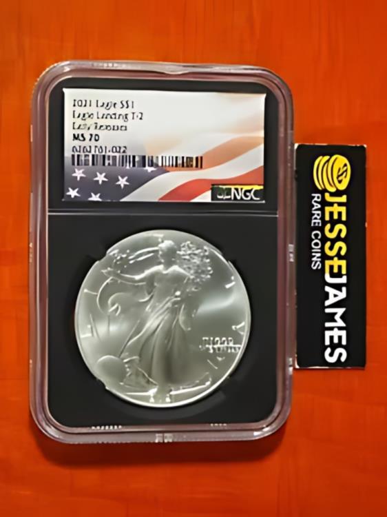 硬貨 紙幣 貴金属 古銭 ゴールド シルバー Gold silver Coin アンティーク Antique 鑑定 グレーディング 外国 格付け鑑定 グレード 鑑定機関 海外 価値 希少