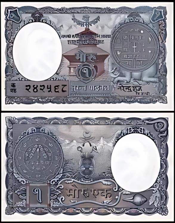 硬貨 紙幣 貴金属 古銭 ゴールド シルバー Gold silver Coin アンティーク Antique 鑑定 グレーディング 外国 格付け鑑定 グレード 鑑定機関 海外 価値 希少