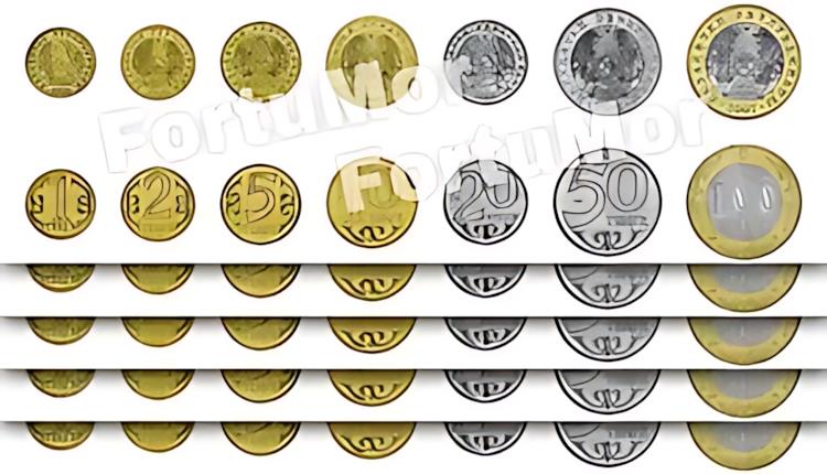 硬貨 紙幣 貴金属 古銭 ゴールド シルバー Gold silver Coin アンティーク Antique 鑑定 グレーディング 外国 格付け鑑定 グレード 鑑定機関 海外 価値 希少