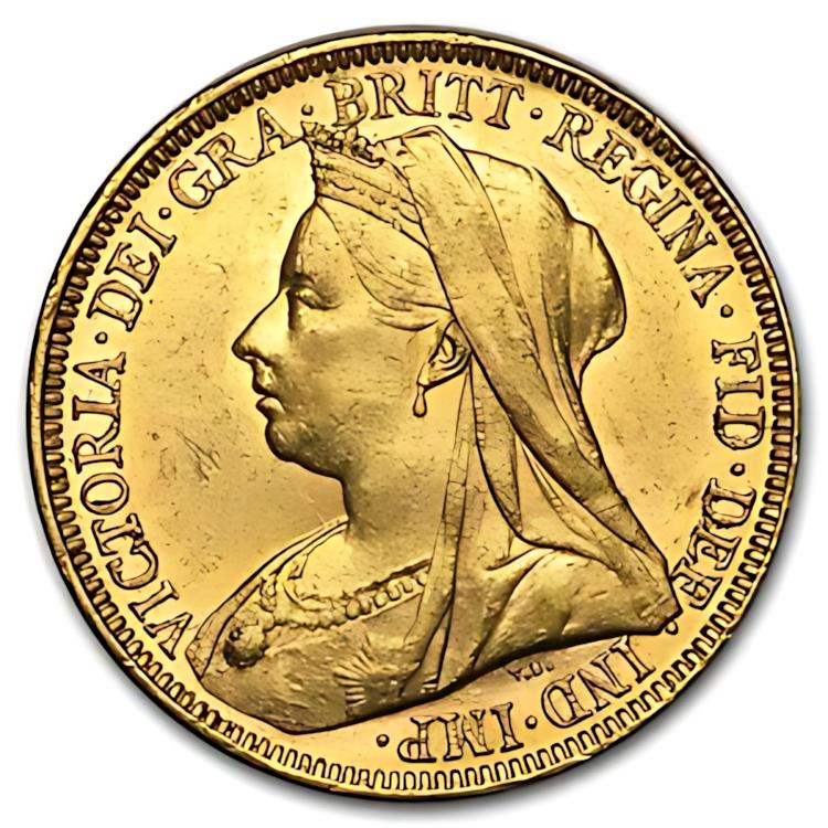 硬貨 紙幣 貴金属 古銭 ゴールド シルバー Gold silver Coin アンティーク Antique 鑑定 グレーディング 外国 格付け鑑定 グレード 鑑定機関 海外 価値 希少